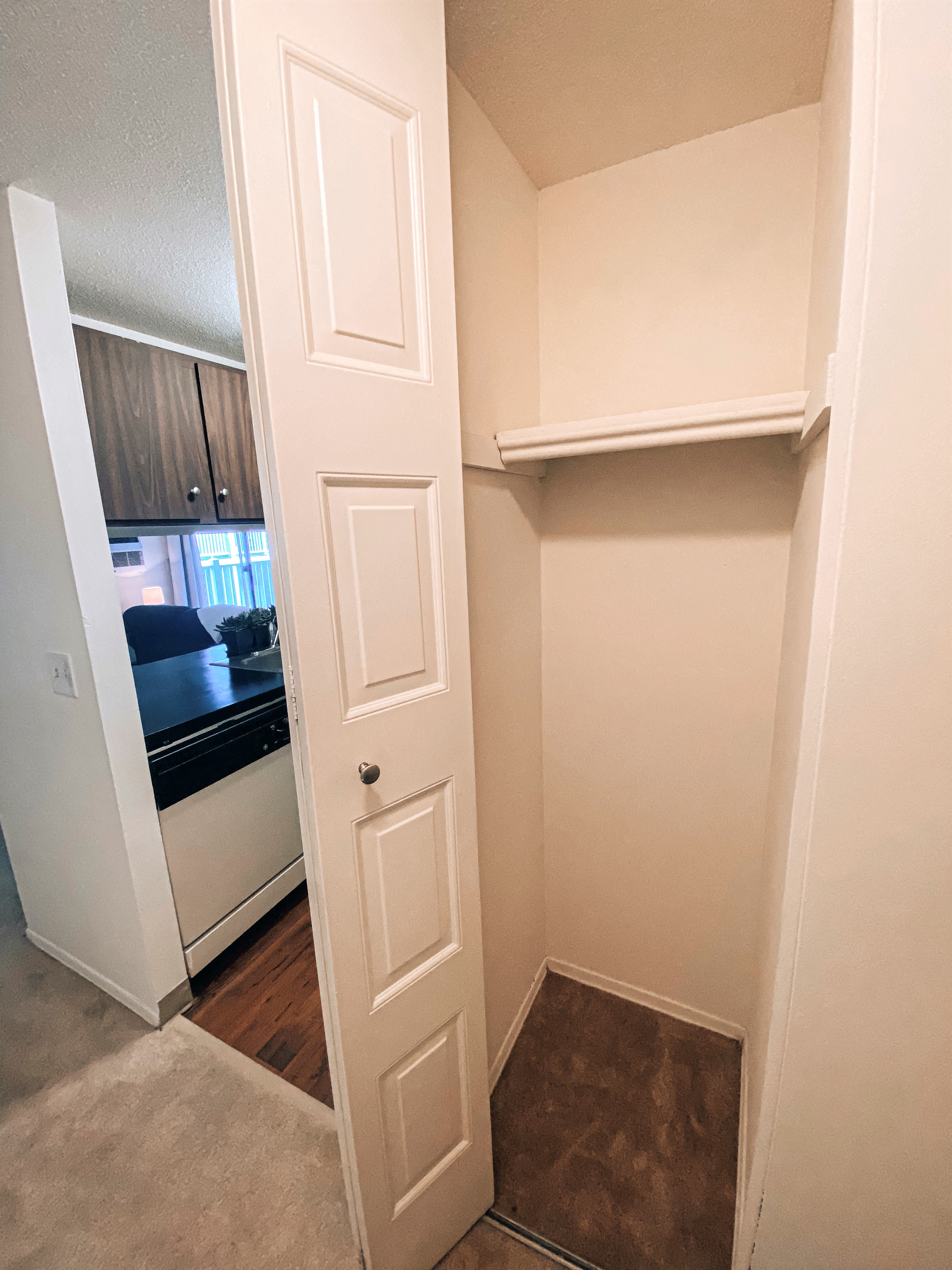 Gallery Photo 13